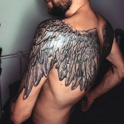 aripi de tatuaje, ceea ce înseamnă (aripi schițe de tatuaj) fotografii aripi de tatuaje, ceea ce înseamnă fotografia