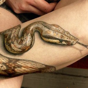 Snake tatuaj - valoare pentru fete si baieti (fotografii, schițe)