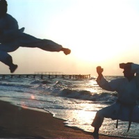 Thai box - formare (video on-line) (Thai) Thai box - formare (video on-line)