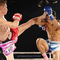 Thai box - formare (video on-line) (on-line) Thai box - formare (video on-line)