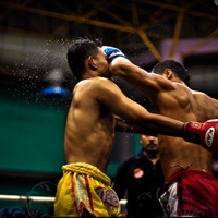 Thai box - formare (video on-line) (box) Thai box - formare (video on-line)