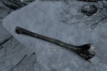 Tes v Skyrim - Club gigant (Skyrim) Tes v Skyrim - Club gigant