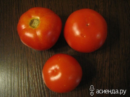 Tomate - talker blogul utilizatorului gala2121 (tomate) Tomate - talker blog-gala2121
