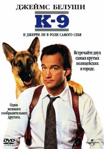 Top 10 cele mai bune filme despre caini (film) Top 10 cele mai bune filme despre caini