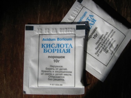 Distrugerea mucegai în subsol (subsol) Distrugerea mucegai în subsol