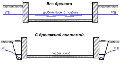 Distrugerea mucegai în subsol (subsolul unei ciuperci) Distrugerea mucegai în subsol