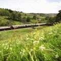 A se vedea soțul ei duminică, dormind în ziua (a se vedea) A se vedea soțul ei duminică, dormind în ziua