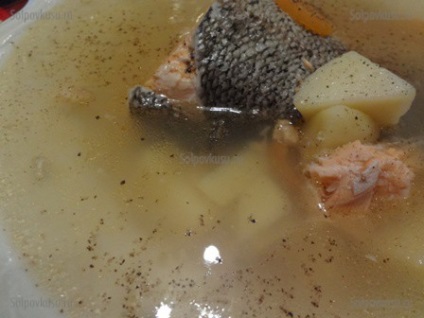 păstrăv urechi (Trout) Ureche de păstrăv