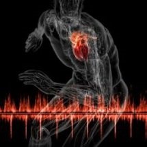 Ultrasunete a pieptului (ecocardiografia de stres, cu efort fizic inima ecografie cu ultrasunete ecocardiografie atunci când decodificarea nu se poate face și cum să se pregătească) Ultrasunete pieptului