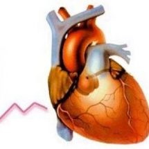 Ultrasunete a pieptului (ecografia inimii, care arată cum să facă o transcriere a ecocardiografie ecou rata de ecou ce formare kg reguli ecocardiografie normale ecou în artera pulmonară kg) Ultrasunete pieptului