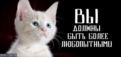 Ar trebui să fie mai curios (ar trebui) Ar trebui să fie mai curios