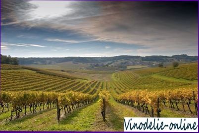 vin franceză, Franța (vin alb dulce) vin franceză, Franța