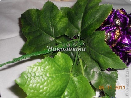 Struguri de dulciuri, artiști de țară (proiectare) Struguri de dulciuri, artiști țară