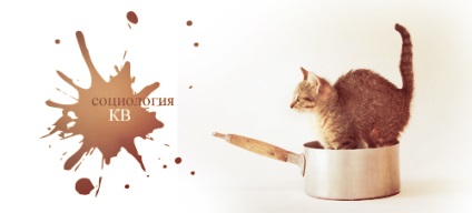 Release №13 - pătrat sociologie - pisici-Warriors revistă stele semn (ShadowClan fapt) Release №13 - pătrat sociologie - revista Cats-Warriors stele semn