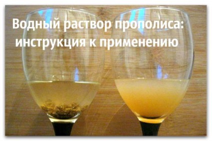 Ghidul de preparare soluție apoasă și propolis (apos) Cele apoase preparare soluție și instrucțiuni de propolis