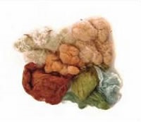 fibre vegetale (fibra) plante Fiber