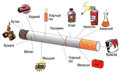 obiceiurile proaste și consecințele lor (gnaw stilou creion) obiceiurile proaste și consecințele lor