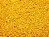 granula secundar - producția și vânzarea de SRL „rostpoliplast“ (producție) granula secundar - producția și vânzarea de SRL „rostpoliplast“