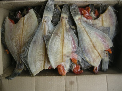 uscate (Flounder pești plați) cambulă uscat