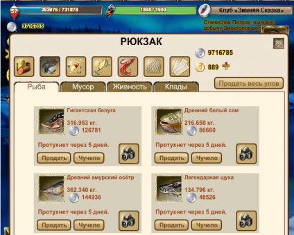 Cracare loc la drimmy pește (vis cu gust de pește) Cracare loc la drimmy pește