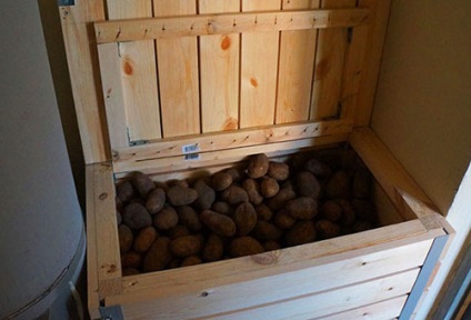 Depozitarea legumelor pe balcon în timpul iernii la temperaturi sub zero grade (legume) Depozitarea de legume pe balcon, în timpul iernii la temperaturi sub zero grade