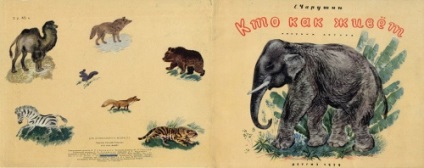Animal artist Evgeniy Ivanovich Charushin (227 lucrări) - tablouri, artiști, fotografi pe nevsepic (îndemânare) Animal artist Evgeniy Ivanovich Charushin (227 lucrări) - picturi, artiști, fotografi pe nevsepic