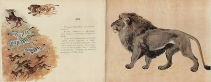 Animal artist Evgeniy Ivanovich Charushin (227 lucrări) - tablouri, artiști, fotografi pe nevsepic (Eugene) Animal artist Evgeniy Ivanovich Charushin (227 lucrări) - picturi, artiști, fotografi pe nevsepic
