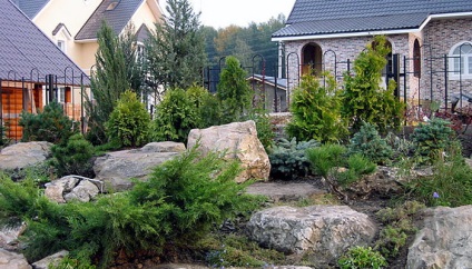 coniferelor din conifere peisaj de design fotografie în proiectarea de grădină, zone cu conifere (foto) coniferelor din conifere peisaj de design fotografie în proiectarea de grădină, zone cu conifere