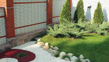 coniferelor din conifere peisaj de design fotografie în proiectarea de grădină, zone cu conifere (foto) coniferelor din conifere peisaj de design fotografie în proiectarea de grădină, zone cu conifere