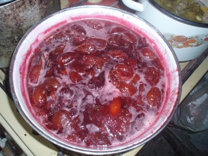Bare de prune - cum se reciclează o recoltă mare (zahăr prune piure) Bare de prune - cum se reciclează o recoltă mare