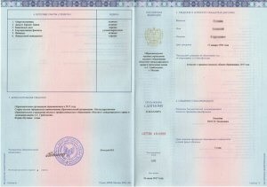 Grad de umplere de nou eșantion 2014-2017 ani de licență de la Moscova (diplomă) Grad de umplere a noua probă de licență 2014-2017 ani la Moscova