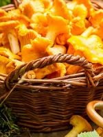 Ceaiul verde cu lamaie - beneficii si Harms (verde) Ceaiul verde cu lamaie - beneficii si vatamare