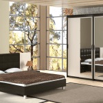 Uși pentru dulapuri cu oglinzi, m2 de proiectare (design de mobilier pentru dormitor) Uși pentru dulapuri cu oglinzi, m2 Design