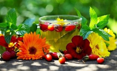 alimente colagoge cu staza biliară (putere) alimente Bilă cu stază biliară