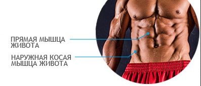 Care este formarea muschilor abdominali - culturism - Editura - Sport și sănătate