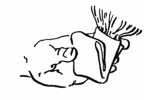 Malteză - cum să aibă grijă de un câine mic tur (malteză) Malteză - cum să aibă grijă de micul catelusul