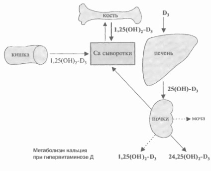 Vitamina d (boli cauzate de deficienta) vitamina d