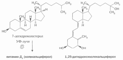 Vitamina D (vitamina) vitamina d