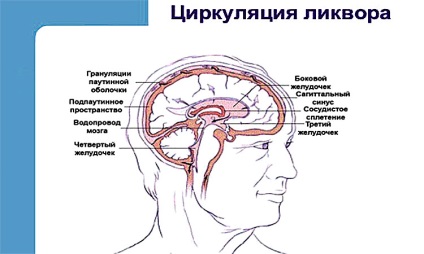 Simptomele intracraniene și tratamentul sugarilor și copiilor de presiunea de 6 ani