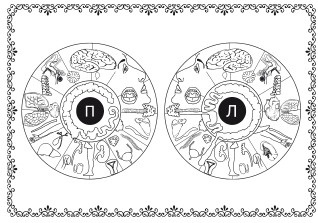 Diagnosticul de iris