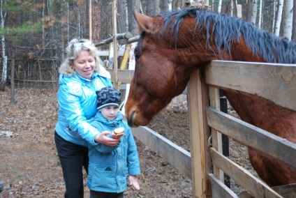 În cazul în care să călărească cai în Yekaterinburg, călărie, de echitatie, de formare