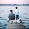 De ce visul unui lac (interpretare de vis), lacul cu apă curată în vis