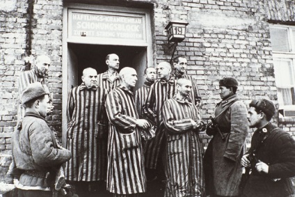 eliberarea de la Auschwitz