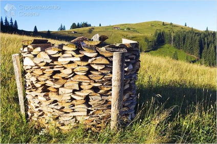 Stivă de mâini - lemn de foc vărsat (foto)