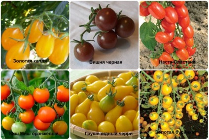 Alege soiuri pentru plantarea de tomate