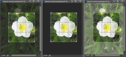 10 lucruri pe care trebuie să știți despre imaginile de tăiere în Photoshop (Photoshop) 10 lucruri pe care trebuie sa stiti despre imagini de tăiere în Photoshop