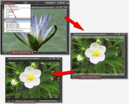 10 lucruri pe care trebuie să știți despre imaginile de tăiere în Photoshop (Photoshop) 10 lucruri pe care trebuie sa stiti despre imagini de tăiere în Photoshop