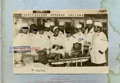 1958 (română) 1958
