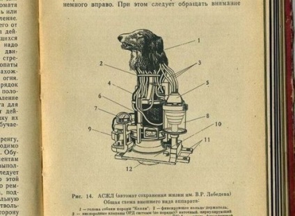 1958 (română) 1958
