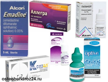 simptomele alergice Cat, semne, tratament (pisici) Cat alergie simptome, semne, tratament